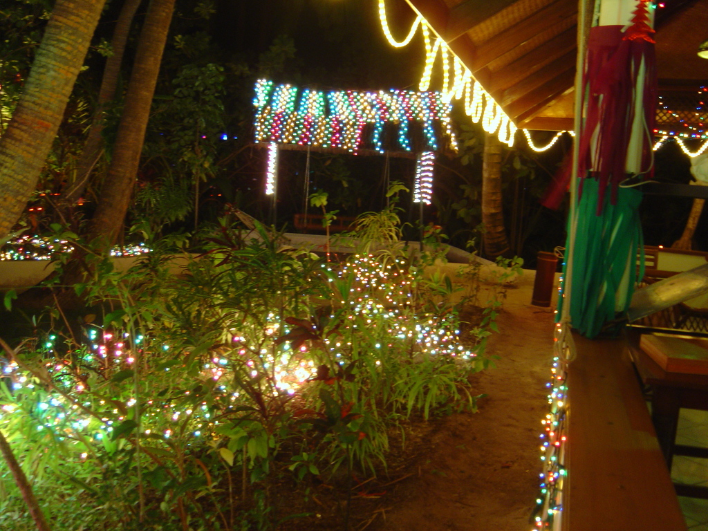 DSC00365.JPG
