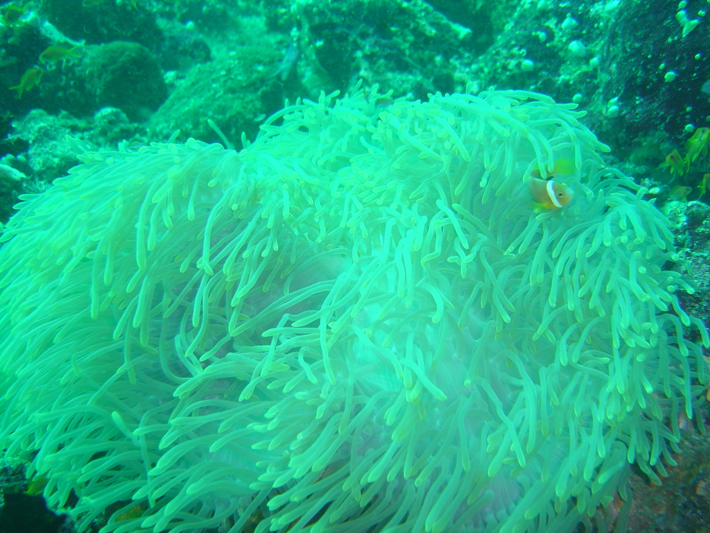 DSC00371.JPG