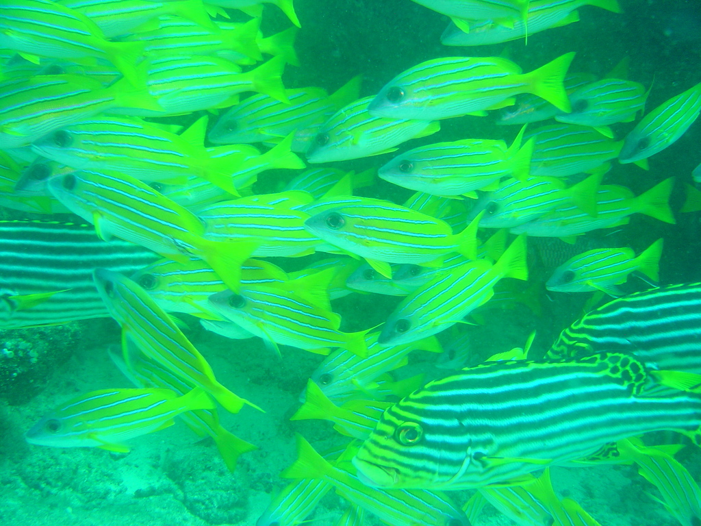 DSC00377.JPG