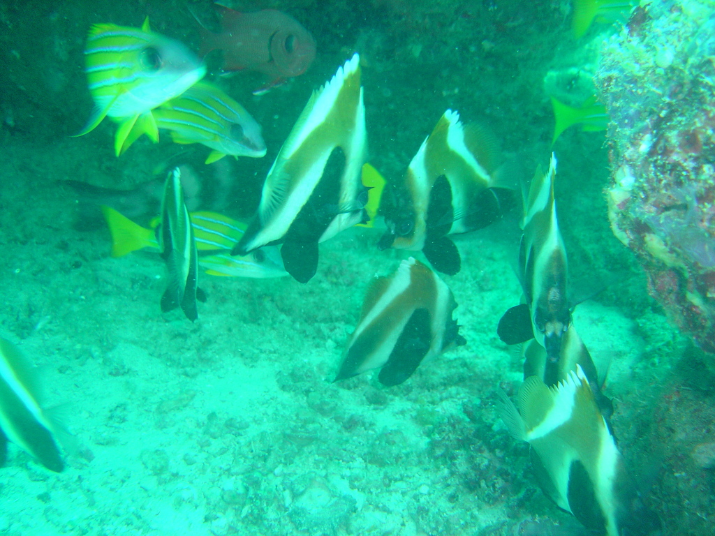 DSC00378.JPG