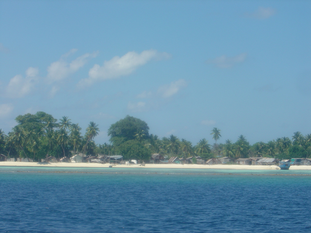 DSC00382.JPG