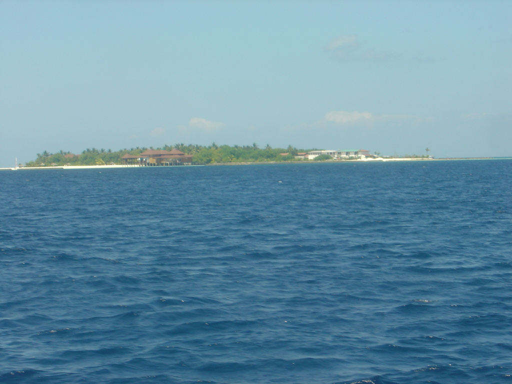 DSC00386.JPG