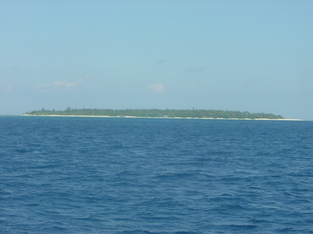 DSC00387.JPG