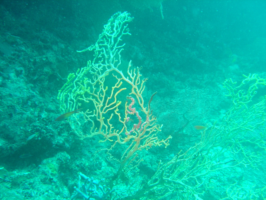DSC00410.JPG