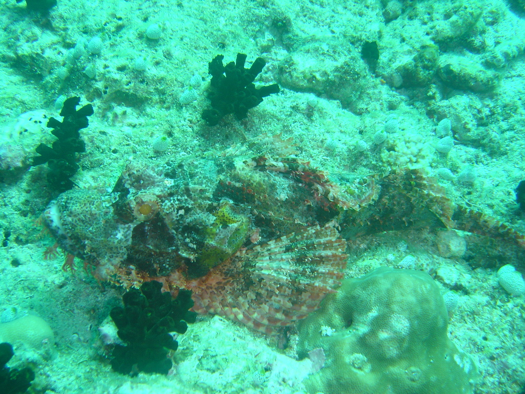 DSC00413.JPG