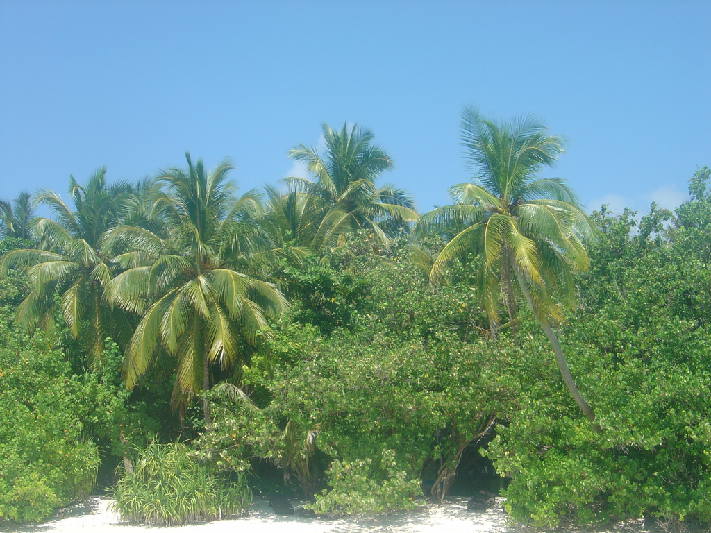 DSC00422.JPG