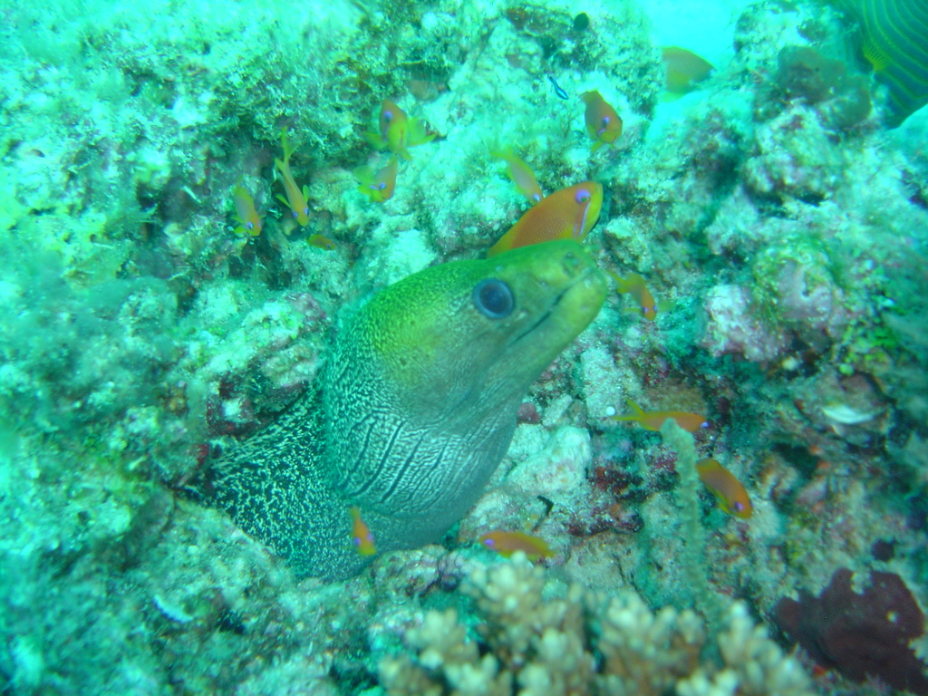 DSC00437.JPG