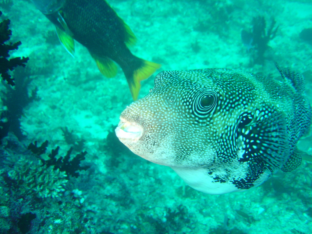 DSC00441.JPG