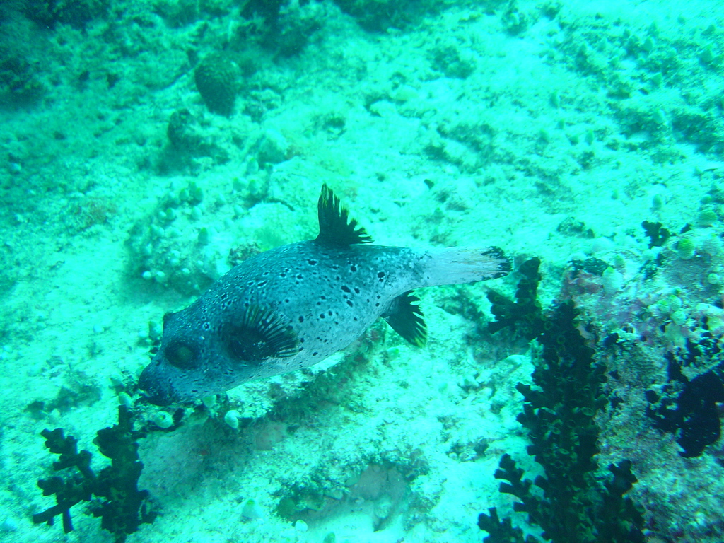 DSC00445.JPG