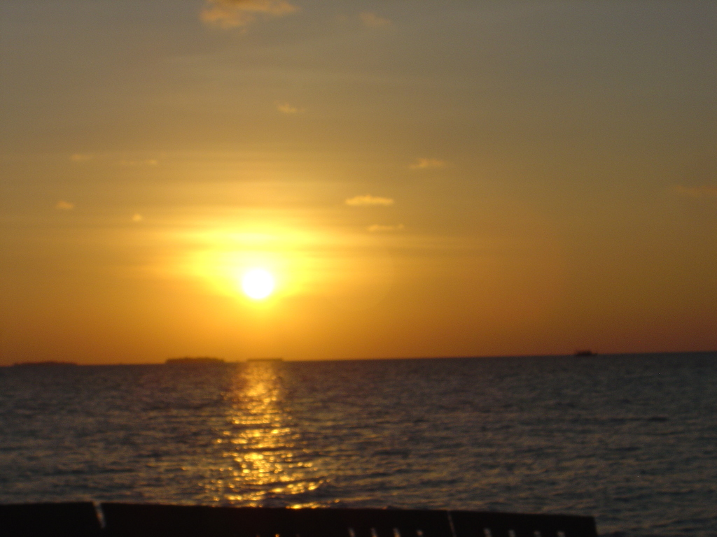 DSC00453.JPG