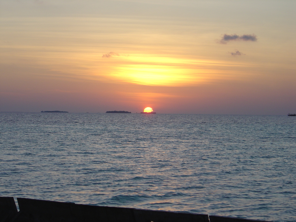 DSC00455.JPG