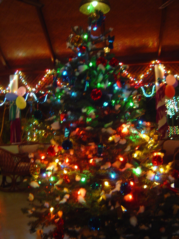 DSC00484.JPG