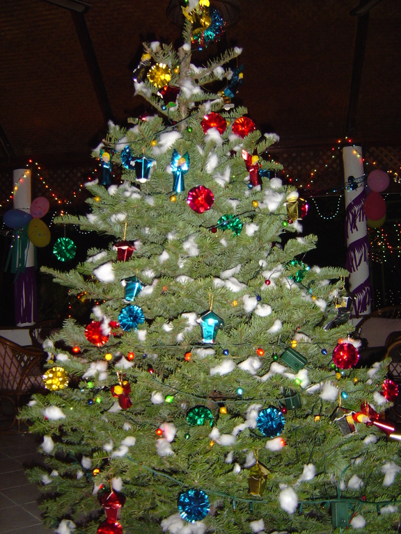 DSC00485.JPG