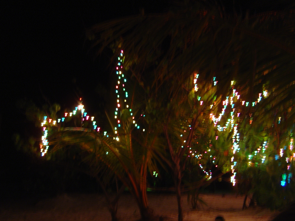 DSC00486.JPG