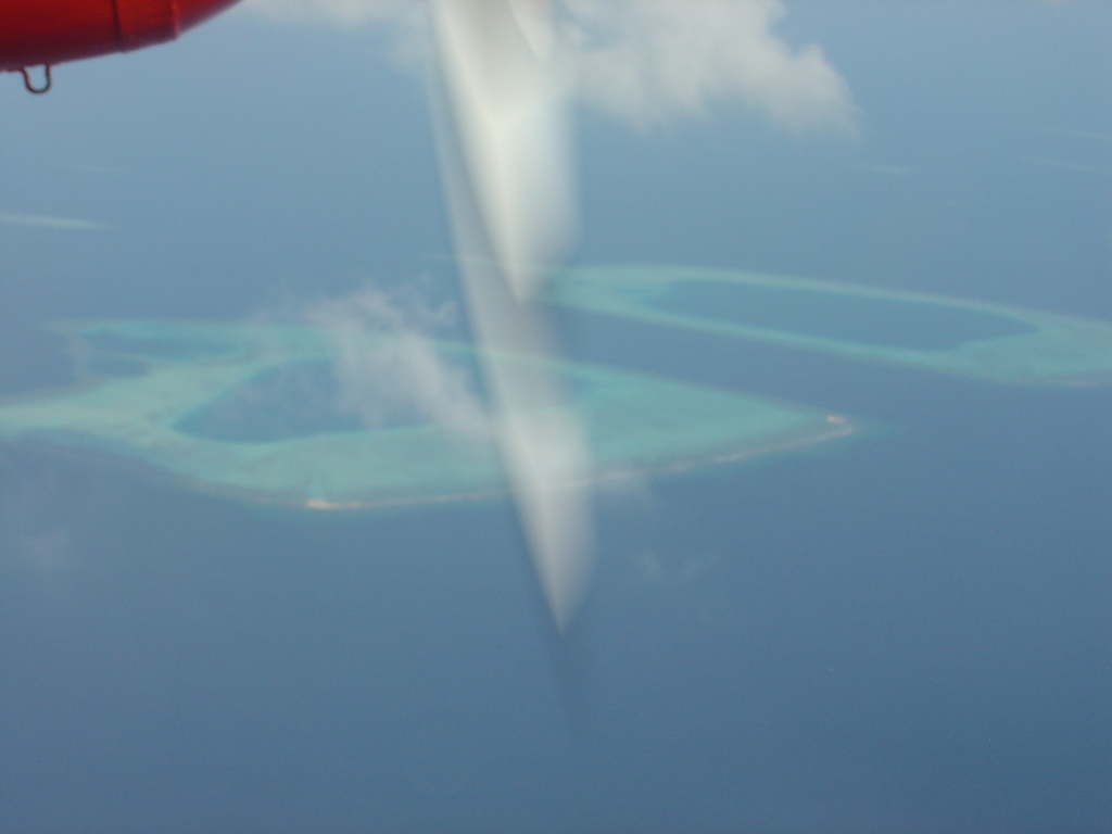 DSC00500.JPG