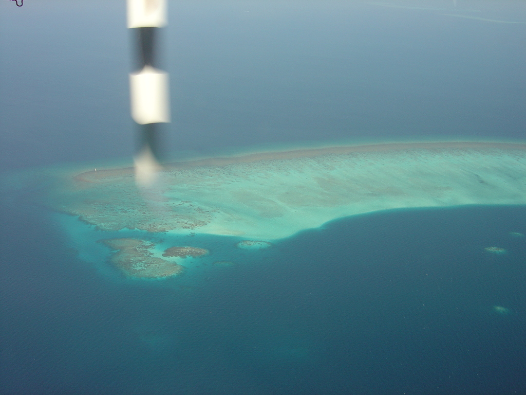 DSC00506.JPG