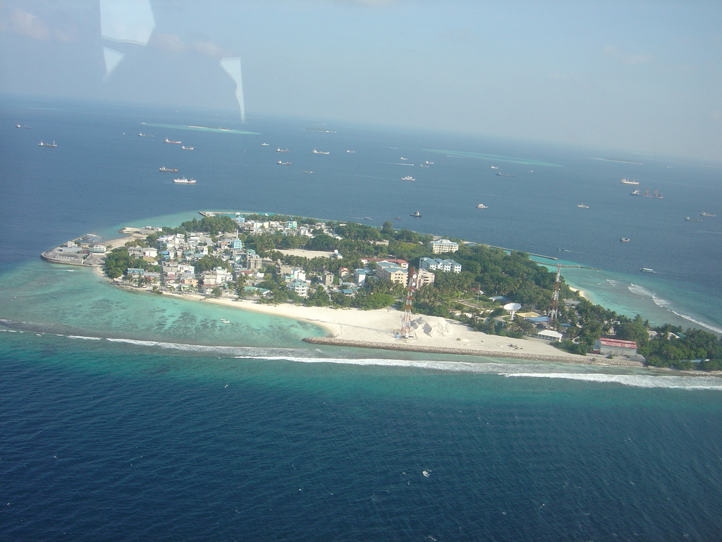 DSC00511.JPG