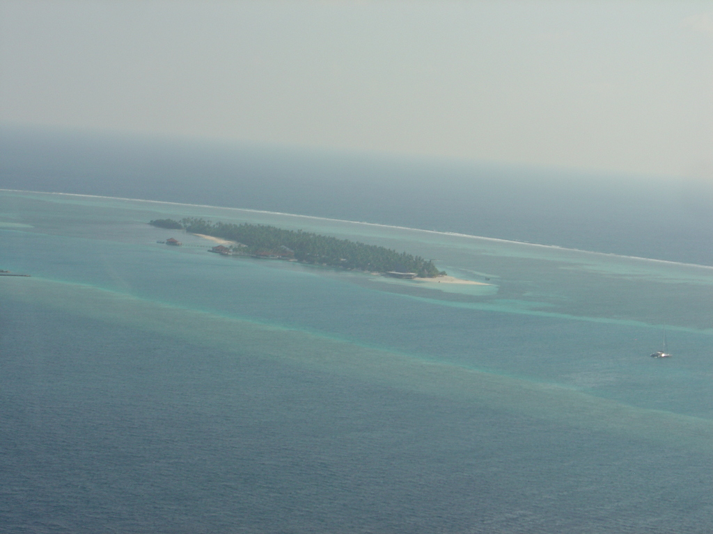 DSC00519.JPG