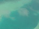 Filename=DSC00004.JPG
Filesize=251KiB
Dimensions=1024x768
Date added=Aug 05, 2014 DSC00004.JPG