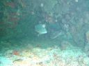 Filename=DSC00036.JPG
Filesize=448KiB
Dimensions=1024x768
Date added=Aug 05, 2014 DSC00036.JPG