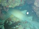 Filename=DSC00038.JPG
Filesize=455KiB
Dimensions=1024x768
Date added=Aug 05, 2014 DSC00038.JPG