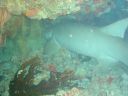 Filename=DSC00039.JPG
Filesize=465KiB
Dimensions=1024x768
Date added=Aug 05, 2014 DSC00039.JPG