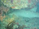 Filename=DSC00040.JPG
Filesize=498KiB
Dimensions=1024x768
Date added=Aug 05, 2014 DSC00040.JPG