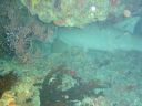 Filename=DSC00041.JPG
Filesize=429KiB
Dimensions=1024x768
Date added=Aug 05, 2014 DSC00041.JPG