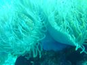Dateiname=DSC00044.JPG
Dateigröße=455KB
Abmessungen: 1024x768
hinzugefügt am: 05. August 2014 DSC00044.JPG