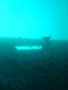 Dateiname=DSC00046.JPG
Dateigröße=145KB
Abmessungen: 576x768
hinzugefügt am: 05. August 2014 DSC00046.JPG