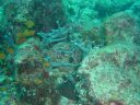 Dateiname=DSC00077.JPG
Dateigröße=497KB
Abmessungen: 1024x768
hinzugefügt am: 05. August 2014 DSC00077.JPG