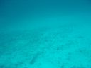 DSC00087.JPG