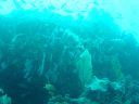 DSC00093.JPG