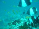 DSC00102.JPG