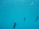 DSC00103.JPG