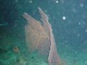 DSC00108.JPG