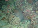 DSC00124.JPG