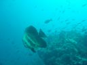 DSC00125.JPG