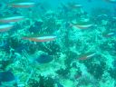 DSC00128.JPG