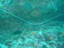 Dateiname=DSC00130.JPG
Dateigröße=499KB
Abmessungen: 1024x768
hinzugefügt am: 05. August 2014 DSC00130.JPG