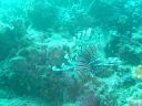 Dateiname=DSC00132.JPG
Dateigröße=523KB
Abmessungen: 1024x768
hinzugefügt am: 05. August 2014 DSC00132.JPG