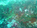Dateiname=DSC00135.JPG
Dateigröße=439KB
Abmessungen: 1024x768
hinzugefügt am: 05. August 2014 DSC00135.JPG
