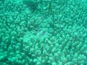 Dateiname=DSC00144.JPG
Dateigröße=502KB
Abmessungen: 1024x768
hinzugefügt am: 05. August 2014 DSC00144.JPG