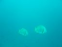 Dateiname=DSC00159.JPG
Dateigröße=214KB
Abmessungen: 1024x768
hinzugefügt am: 05. August 2014 DSC00159.JPG
