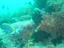 Dateiname=DSC00166.JPG
Dateigröße=511KB
Abmessungen: 1024x768
hinzugefügt am: 05. August 2014 DSC00166.JPG