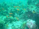 Dateiname=DSC00168.JPG
Dateigröße=517KB
Abmessungen: 1024x768
hinzugefügt am: 05. August 2014 DSC00168.JPG
