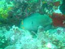 Dateiname=DSC00169.JPG
Dateigröße=535KB
Abmessungen: 1024x768
hinzugefügt am: 05. August 2014 DSC00169.JPG
