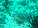 DSC00175.JPG