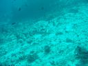 DSC00179.JPG