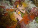DSC00192.JPG